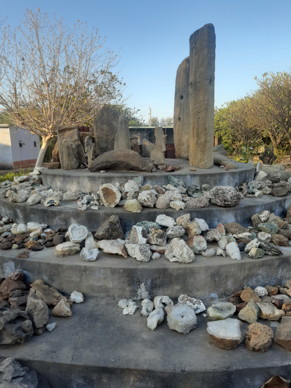 Kutch Fossil Park.